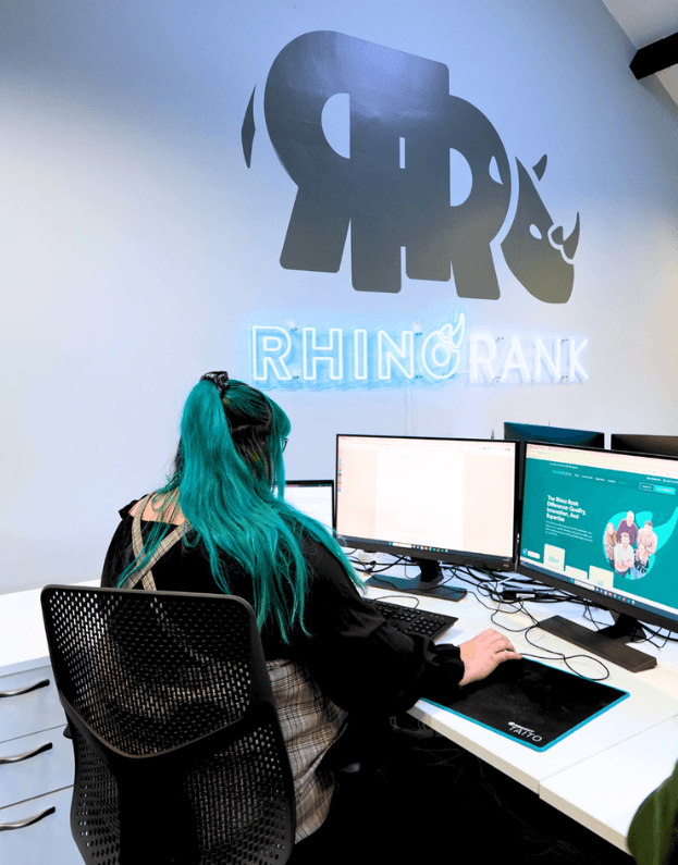 Echipa Rhino Media - birou de link building România