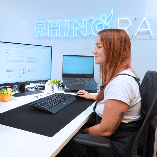 Echipa Rhino Media - Birou Link Building 3