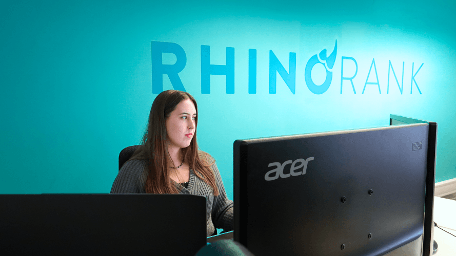 Echipa Rhino Media - Birou Link Building 4