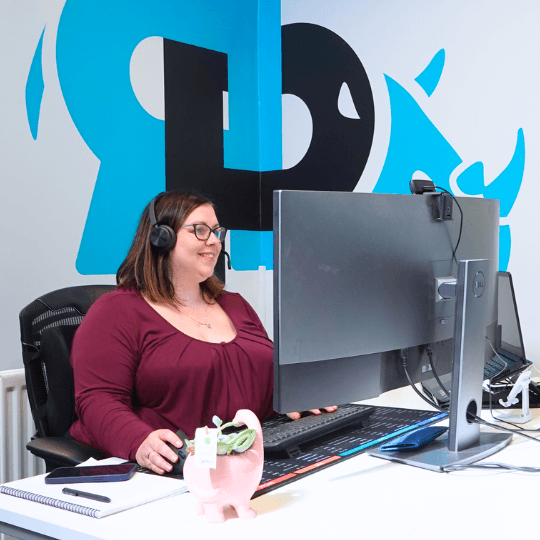 Echipa Rhino Media - Birou Link Building 5