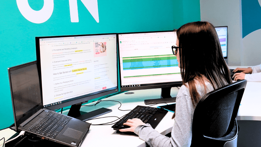 Echipa Rhino Media - Birou Link Building 8