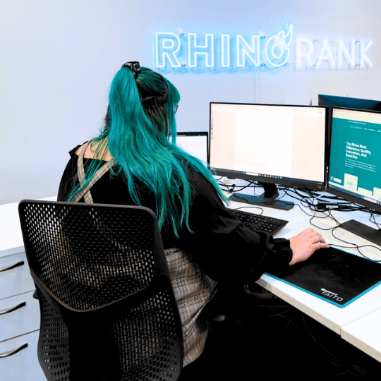 Echipa Rhino Media - Birou Link Building 9